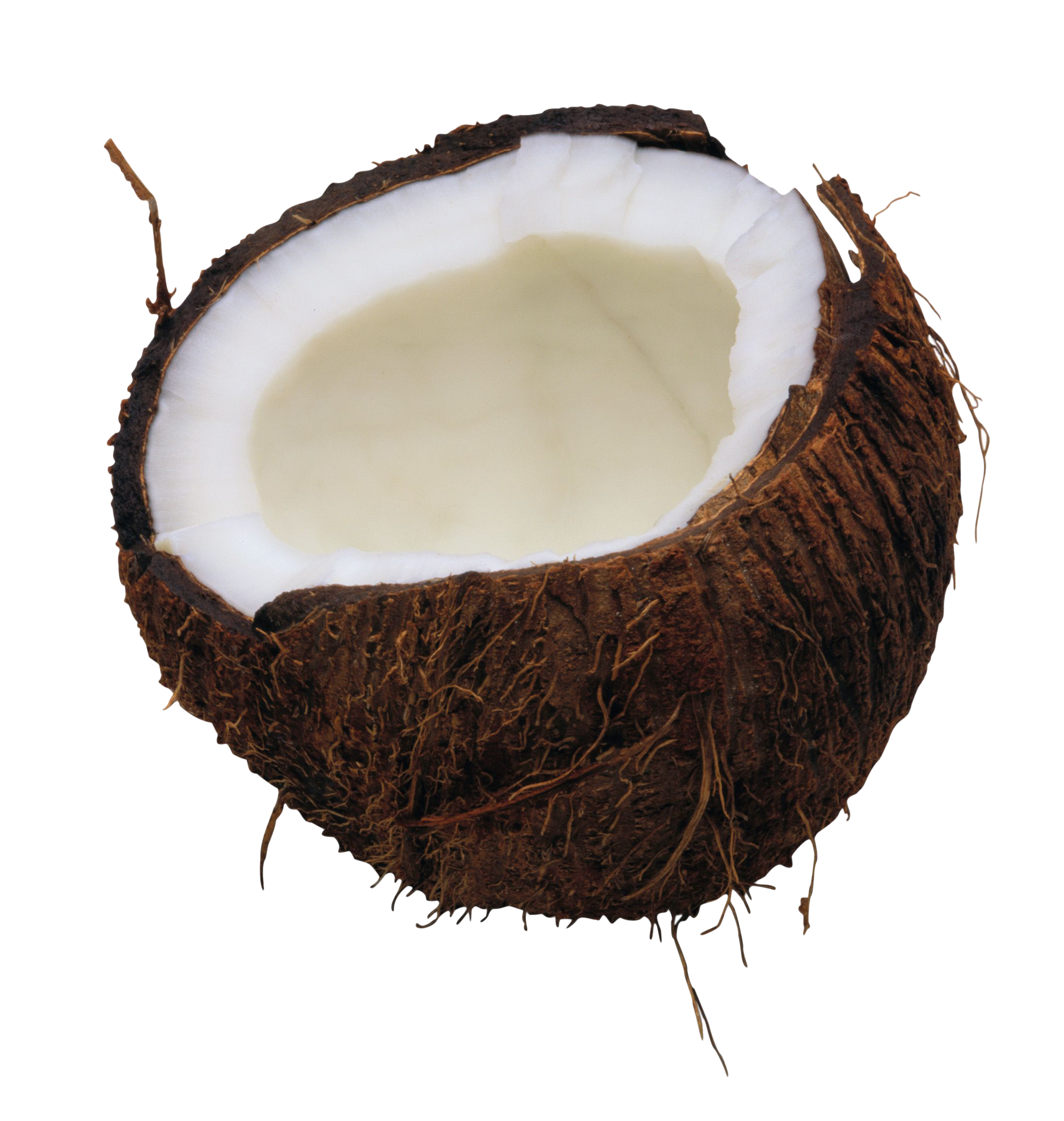 Coconut clipart copra. Png image 