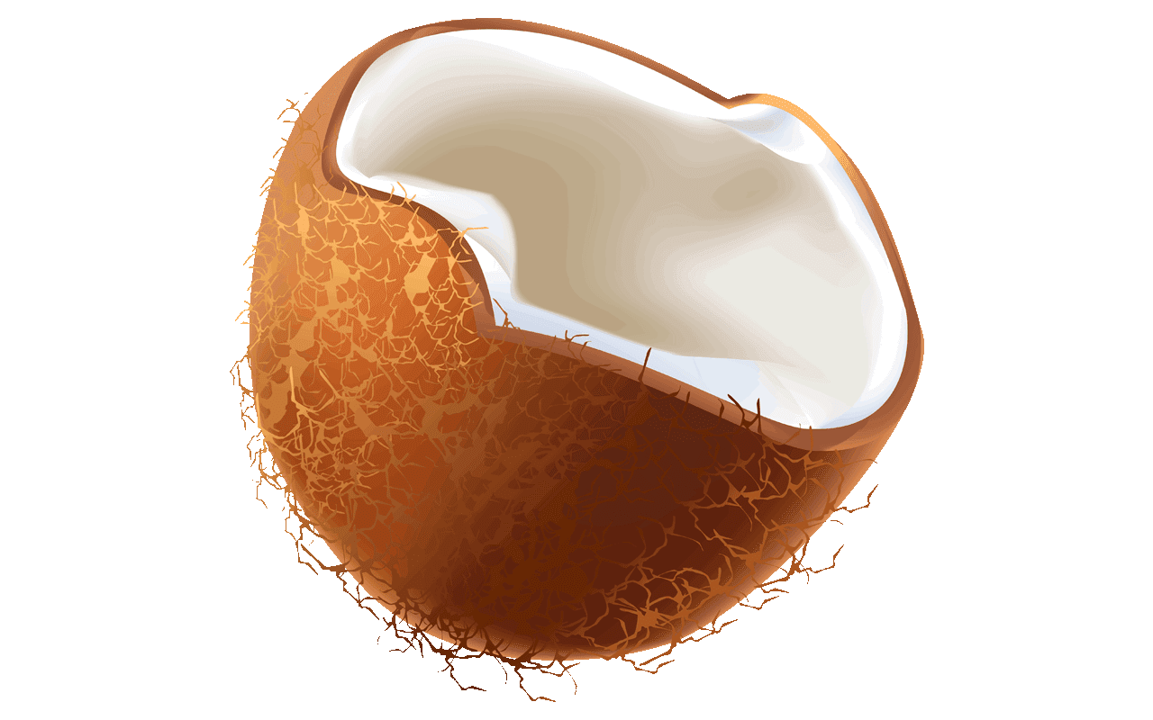 Coconut clipart copra.  free shocking fruit