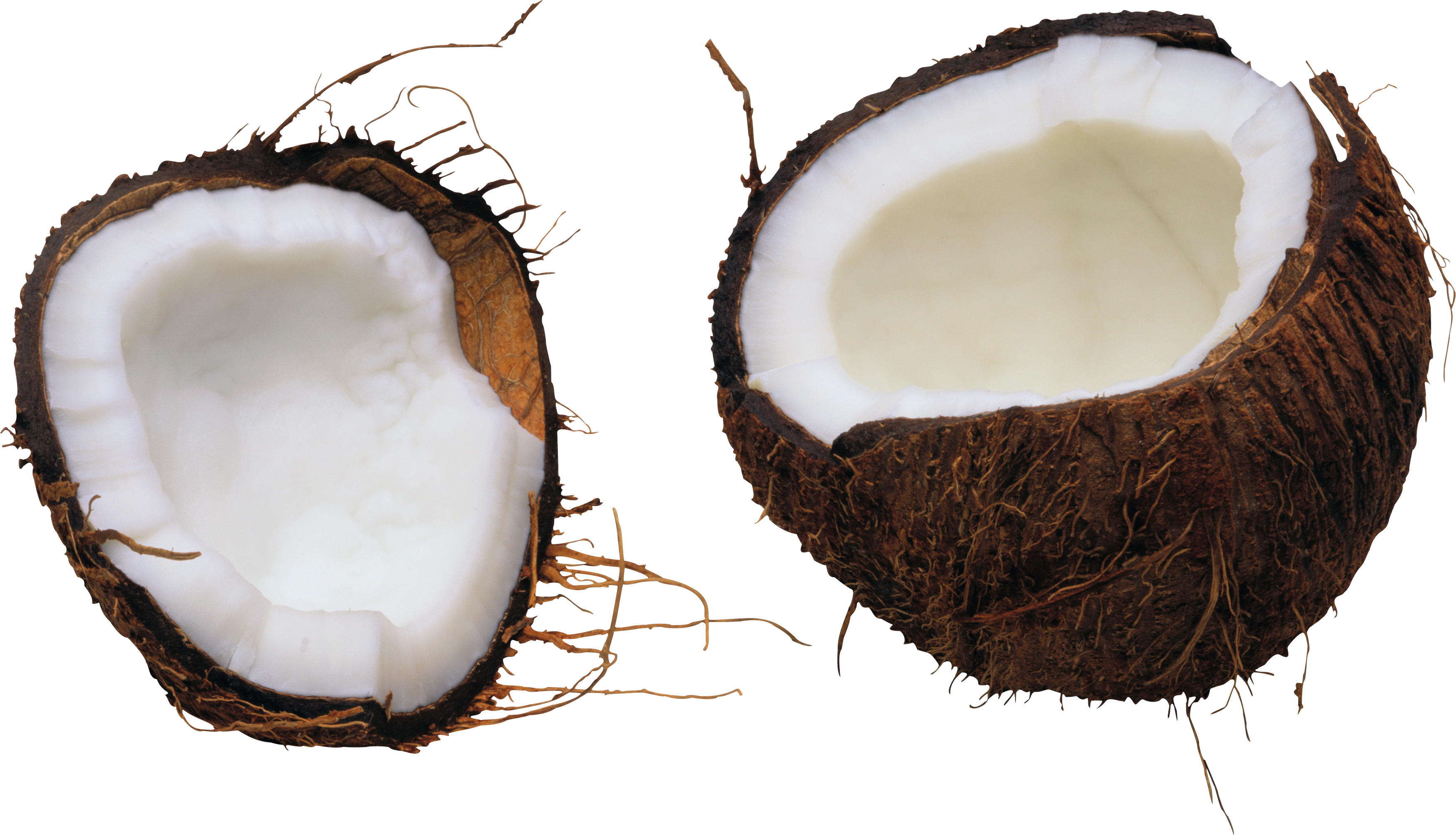 Png image . Coconut clipart copra