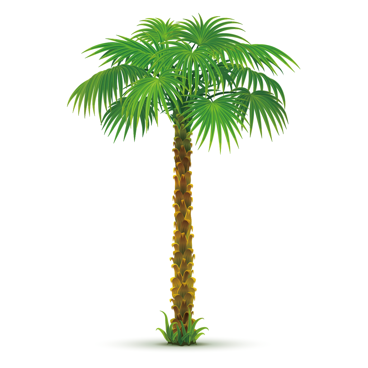 Arecaceae tree areca clip. Palm clipart pineapple