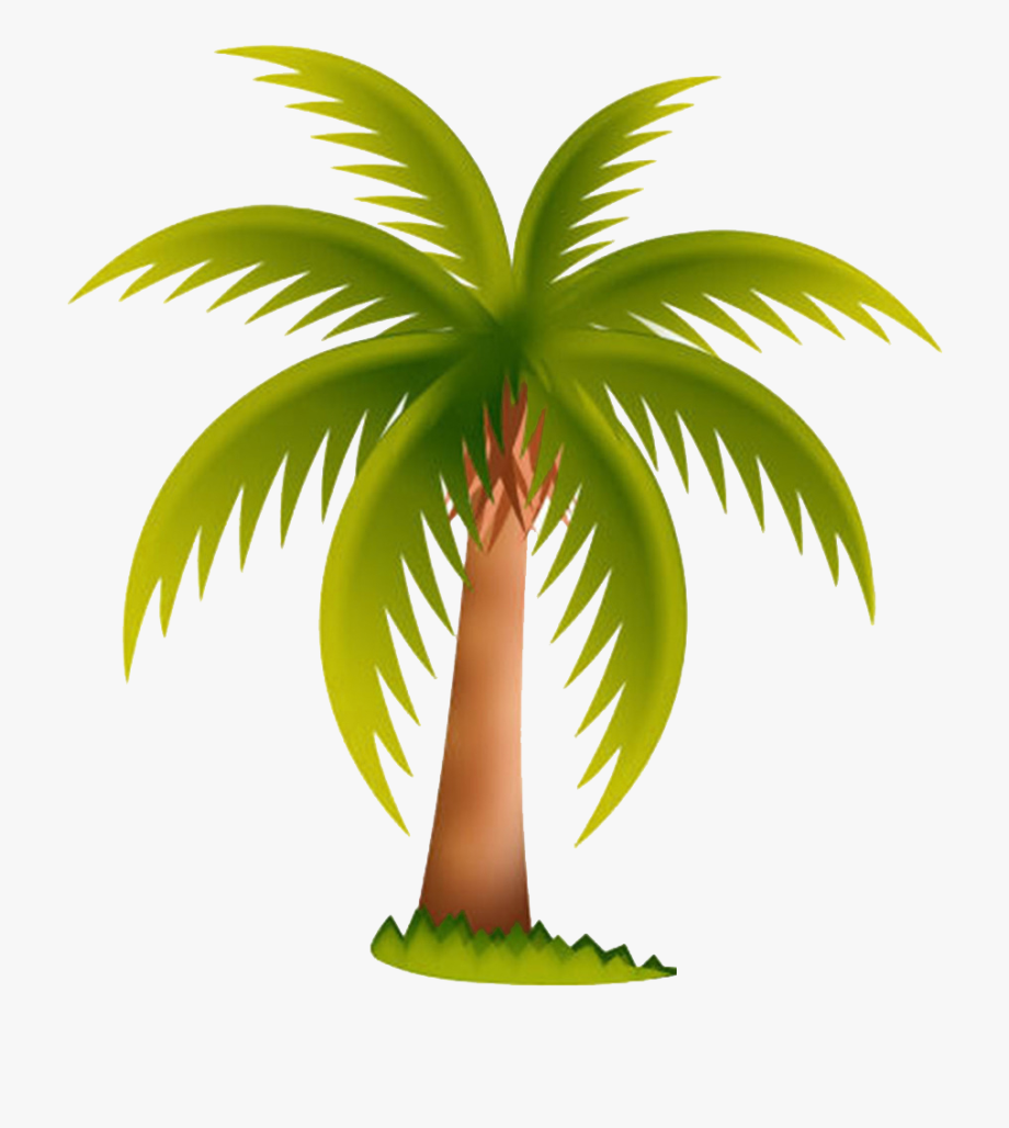 palm clipart khajur tree