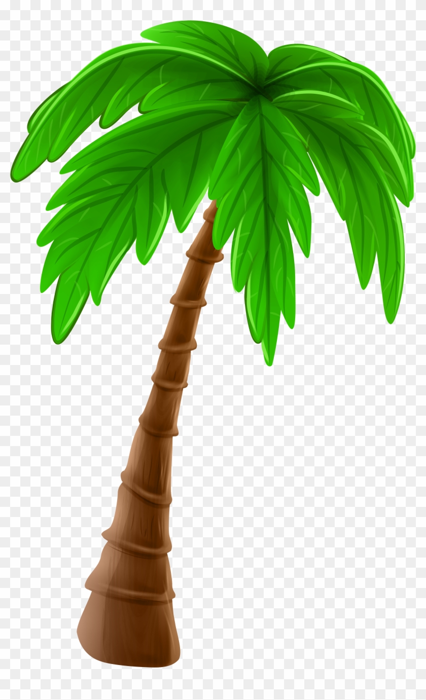 coconut clipart date tree