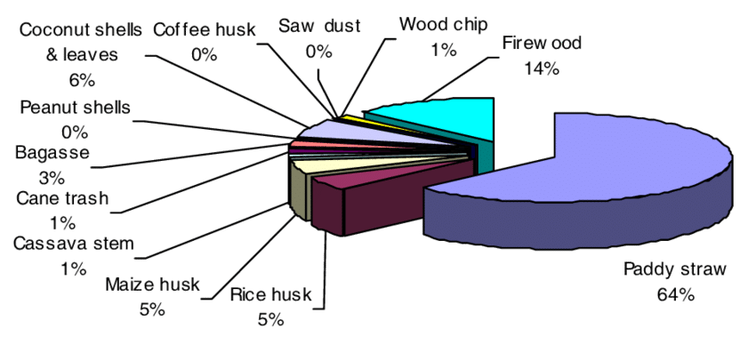 Share of energy content. Coconut clipart diagram
