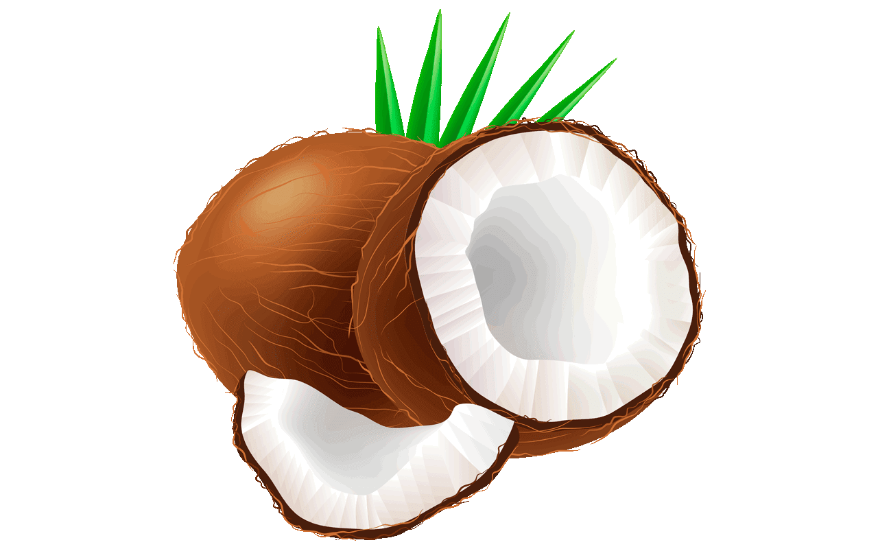 Tree pictures drawing at. Coconut clipart drawn