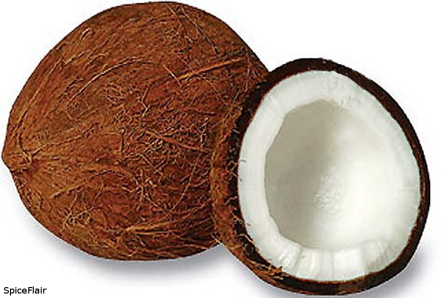coconut clipart dry