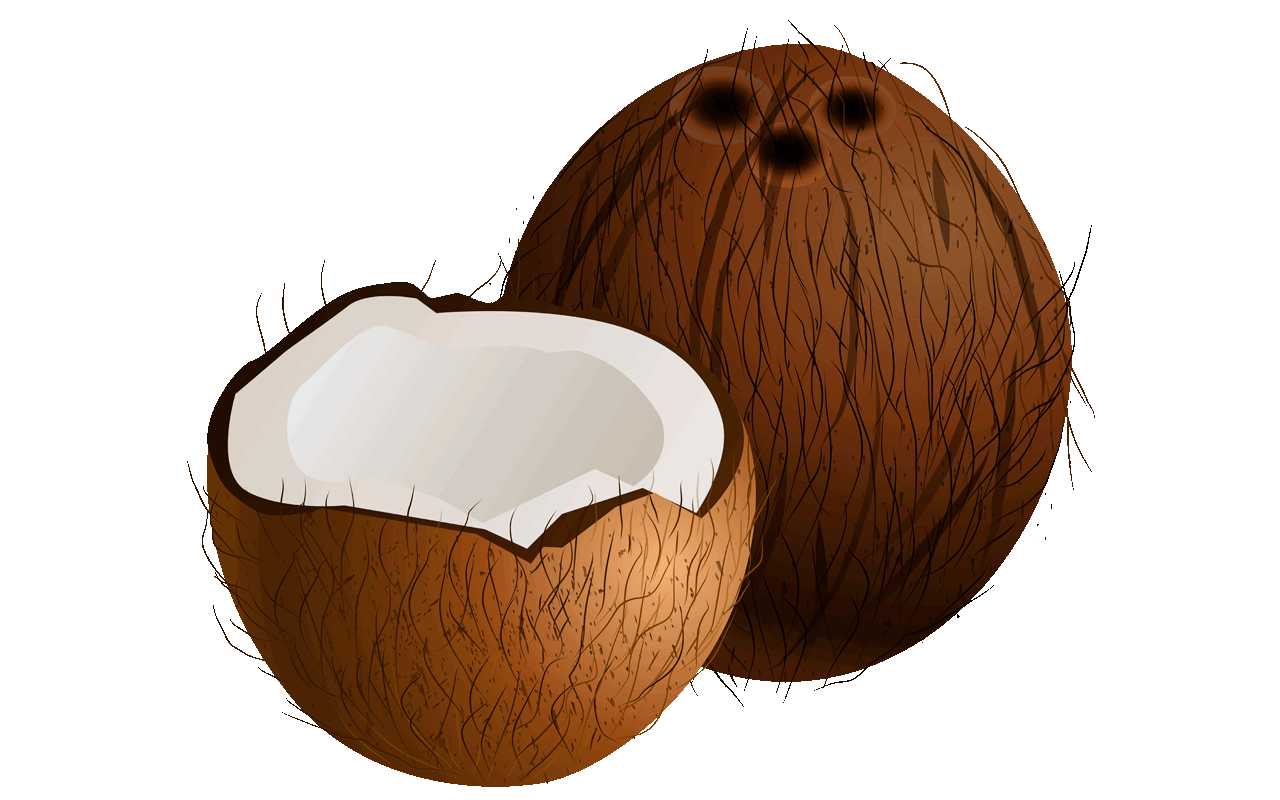 Coconut clipart food kerala, Coconut food kerala Transparent FREE for
