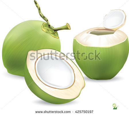 coconut clipart green coconut