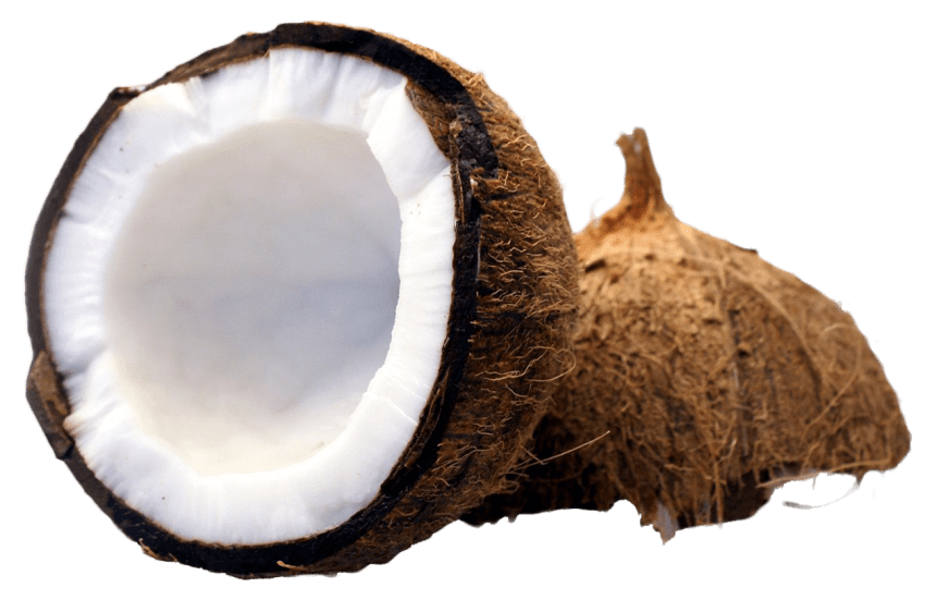 coconut clipart half coconut