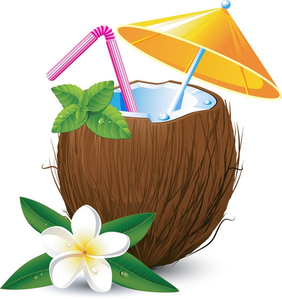 coconut clipart hawaiian party