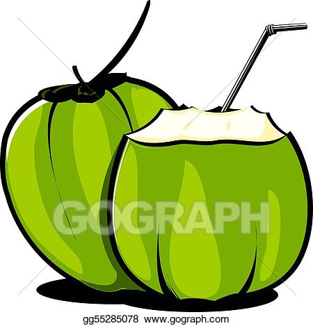coconut clipart illustration