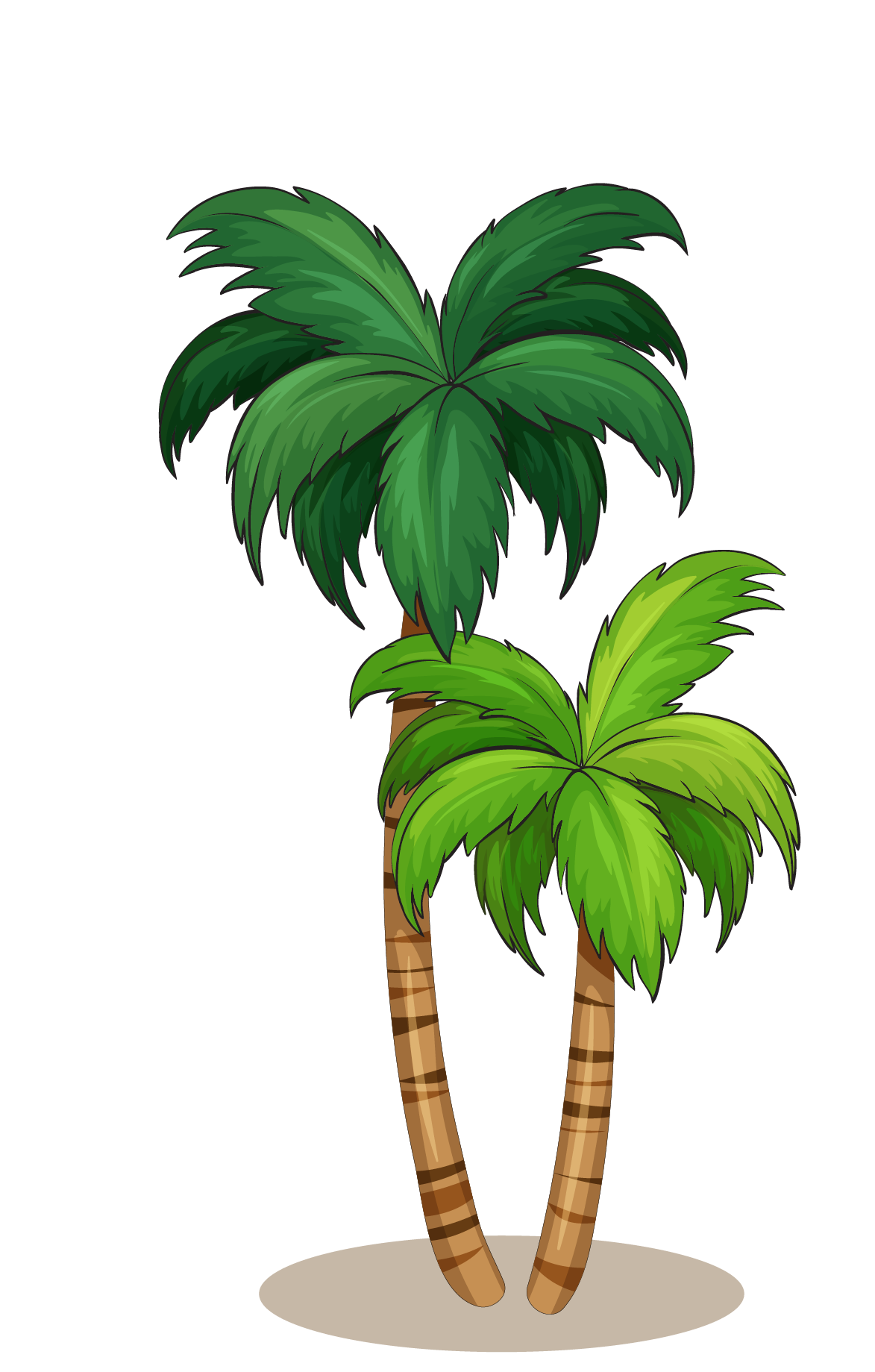 coconut clipart king coconut