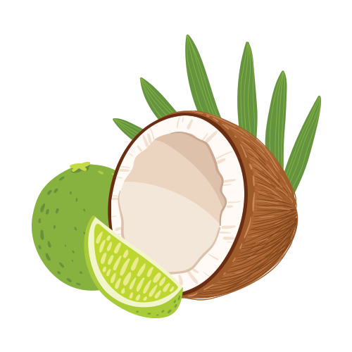 Coconut clipart lime, Coconut lime Transparent FREE for download on