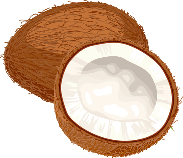 coconut clipart niyog