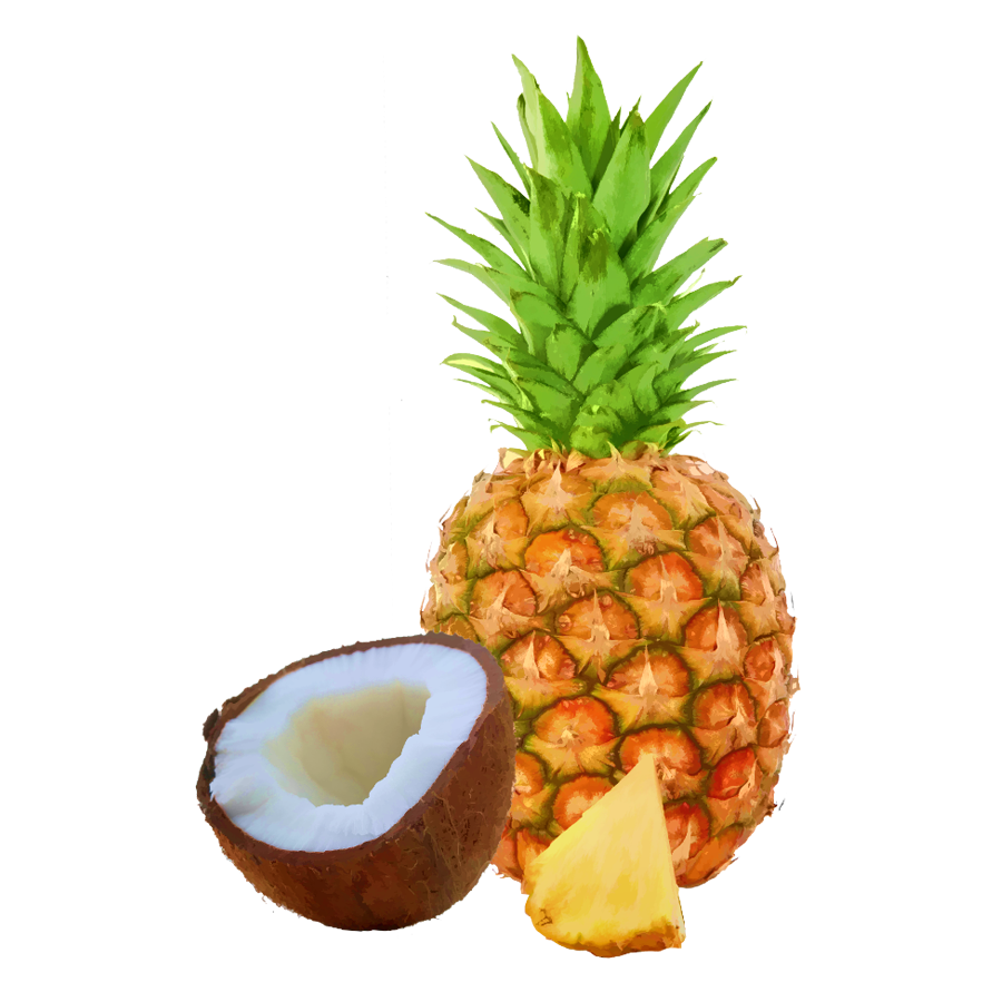 Cliparts co nutraplex bar. Coconut clipart pineapple coconut