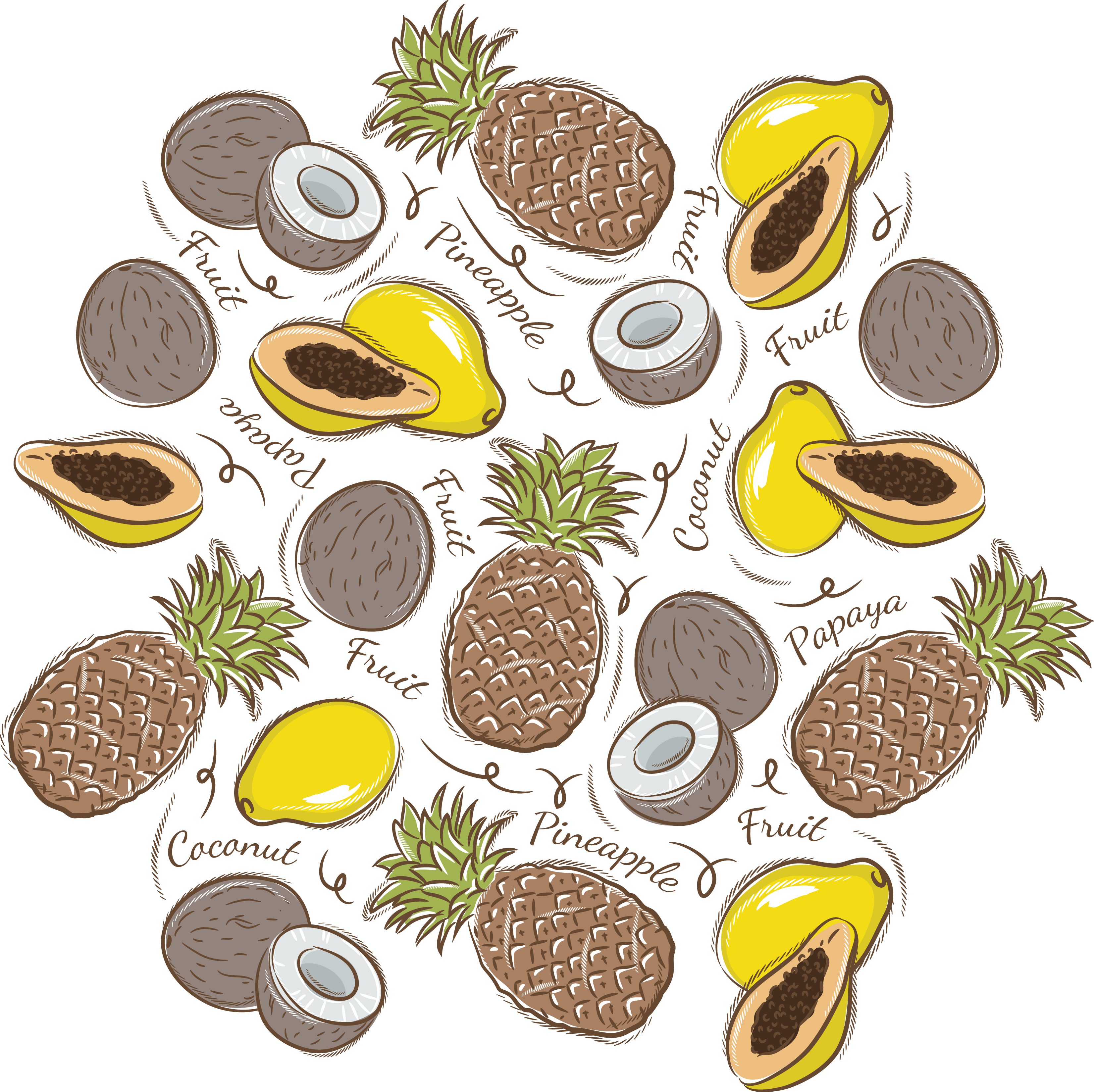 Paper fruit background transprent. Coconut clipart pineapple coconut