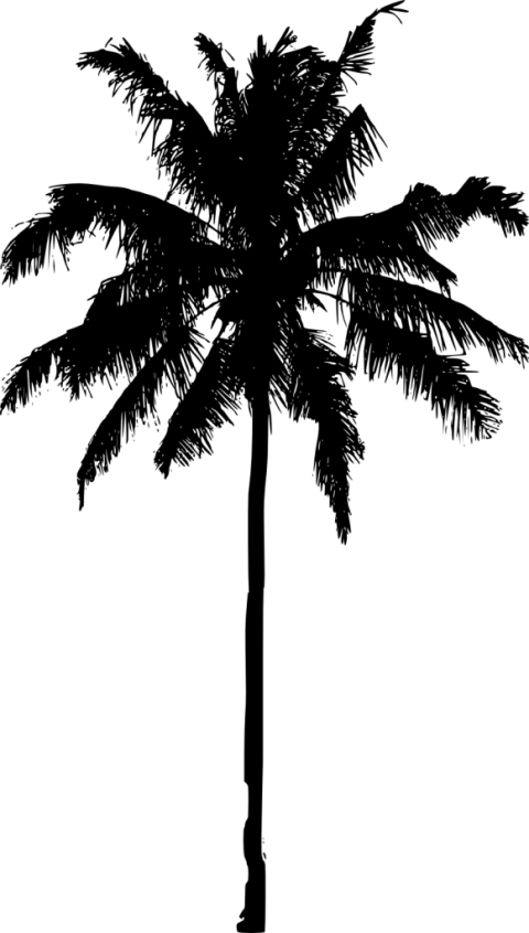 coconut clipart silhouette