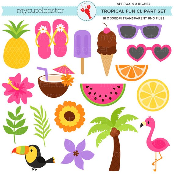 Coconut clipart summer. Tropical fun set flamingo