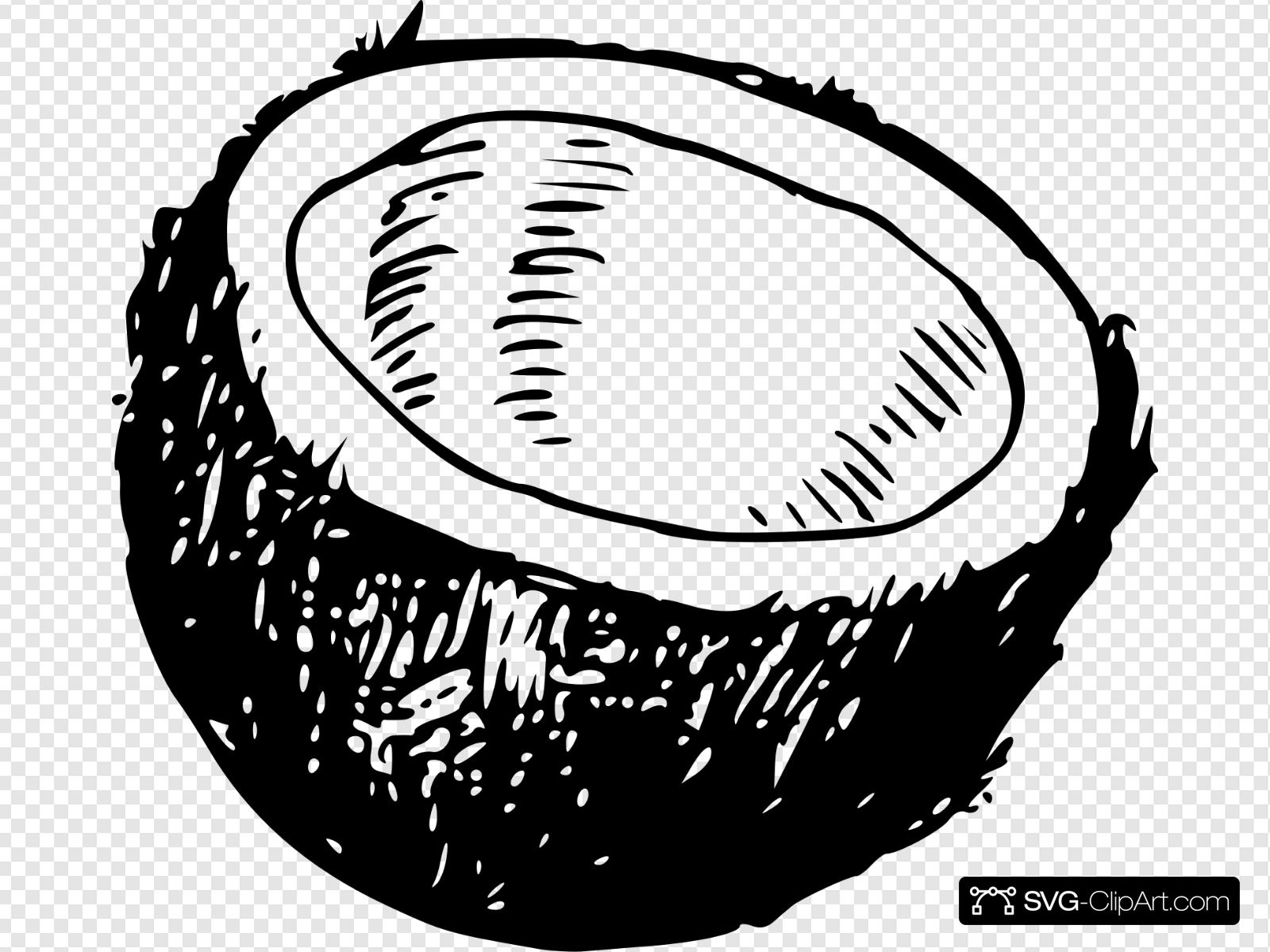 coconut clipart svg