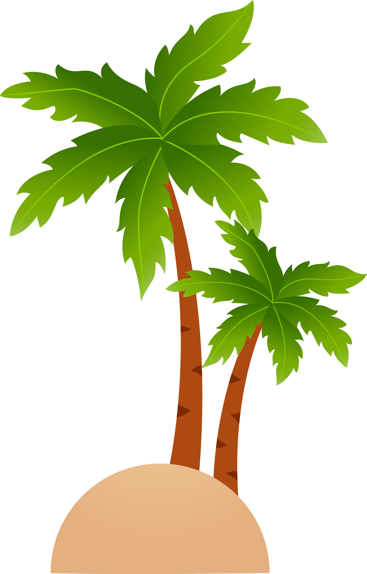 Coconut clipart tropical coconut, Coconut tropical coconut Transparent ...