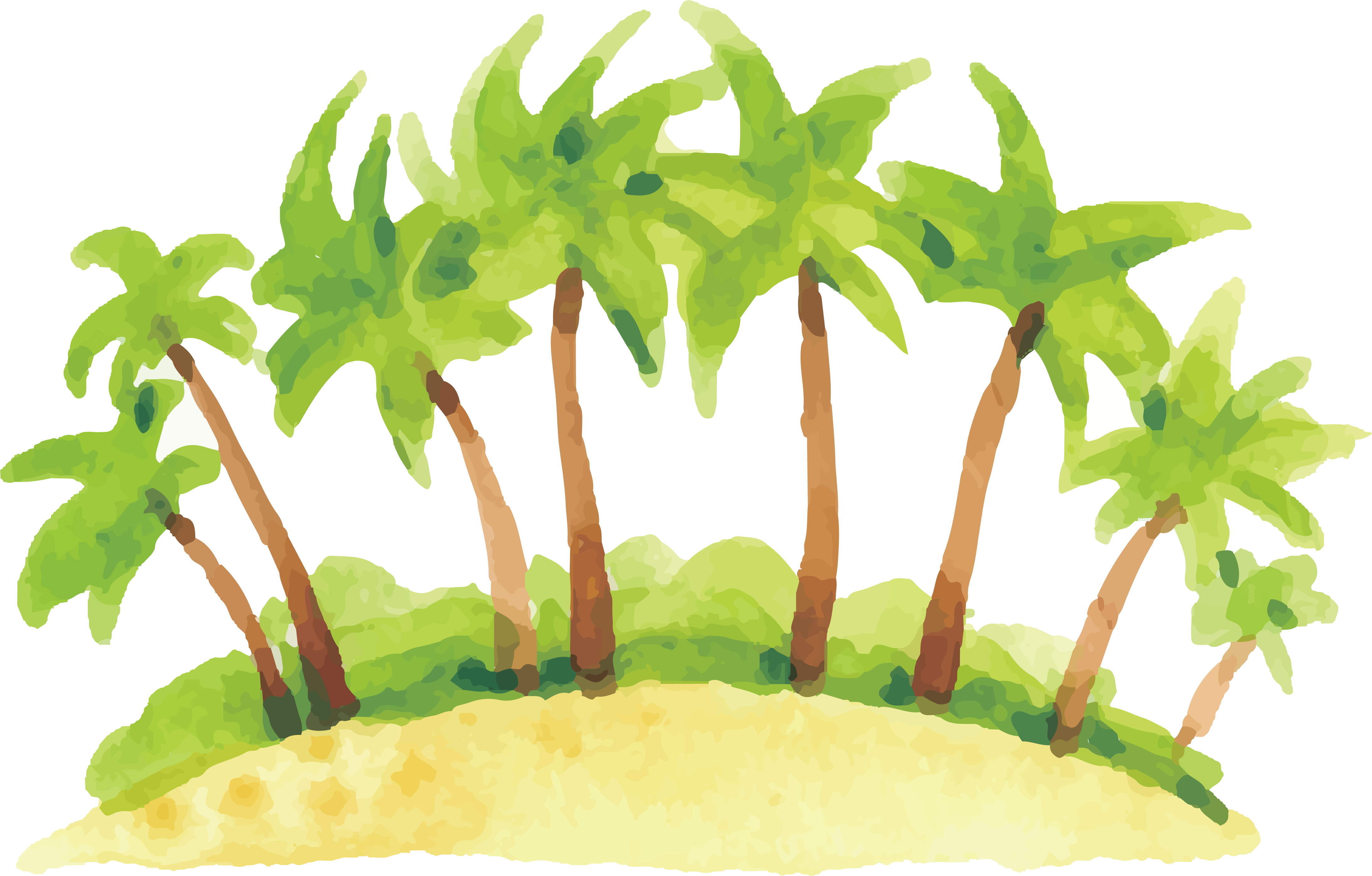 Coconut clipart watercolor. Illustration forest transprent png