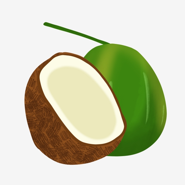coconut clipart yellow fruit