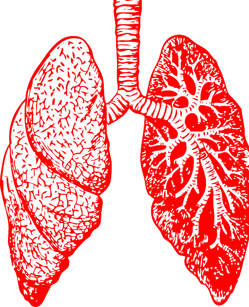 lungs clipart cold