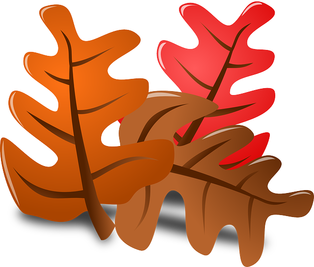 cold clipart chilly fall weather