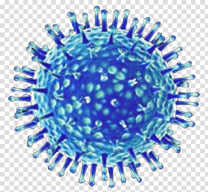 cold clipart influenza virus