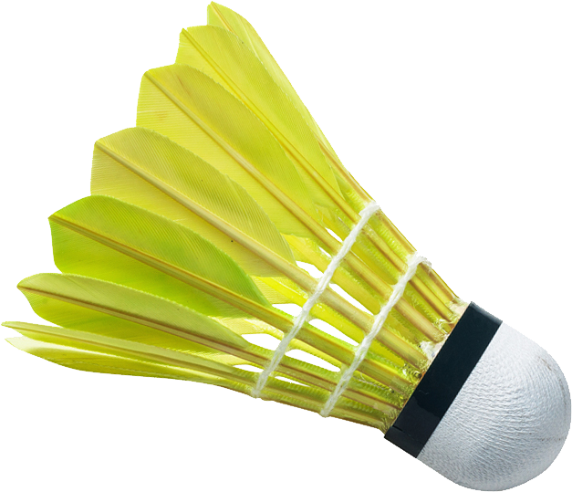 colors clipart badminton