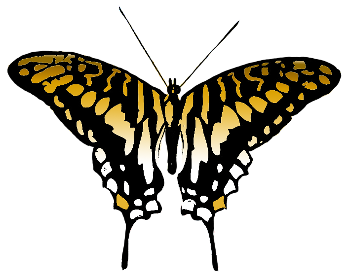 Multicolored image brown colored. Color clipart butterfly