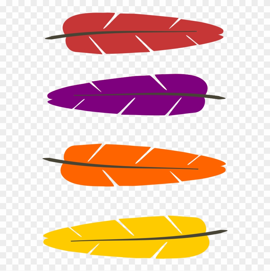feather clipart colourful feather