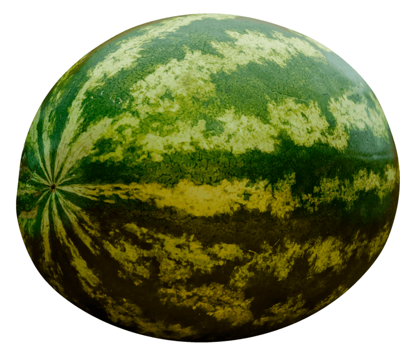 Png free images toppng. Watermelon clipart texture