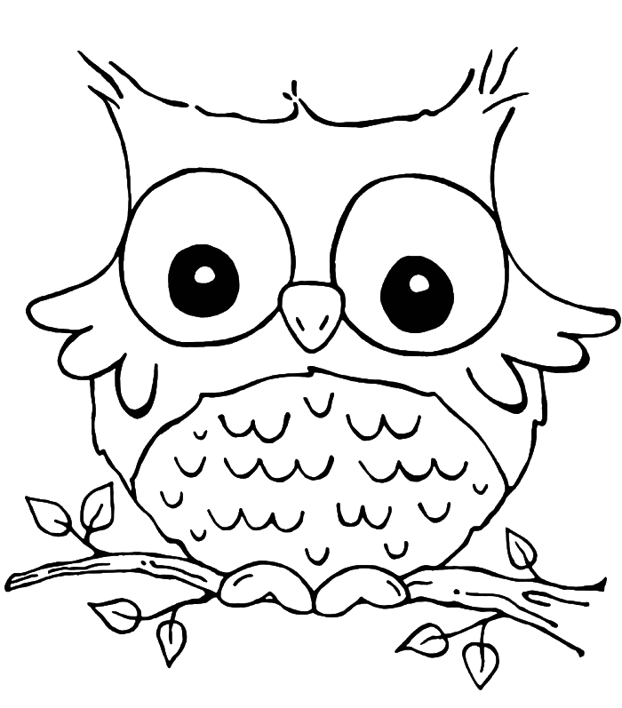 owl clipart preschool