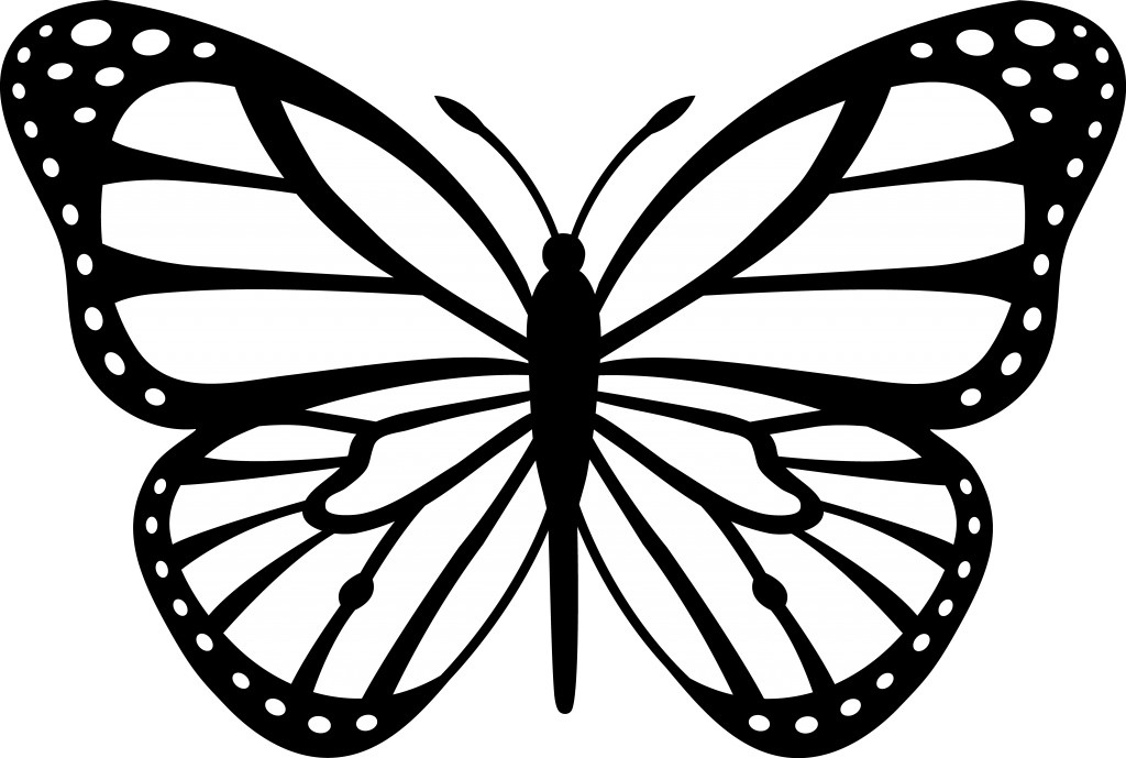 coloring clipart butterfly coloring butterfly transparent
