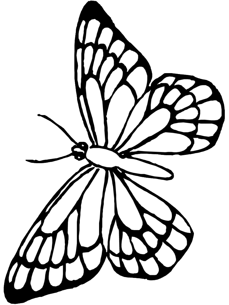 coloring clipart butterfly
