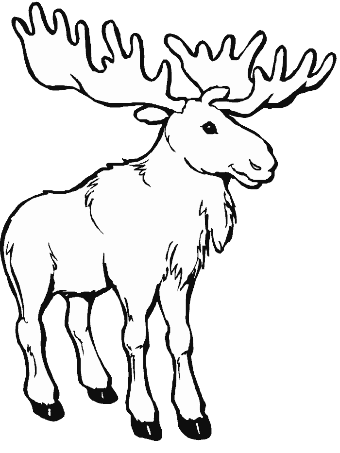 Deer clipart coloring page. Caribou animals printable pages