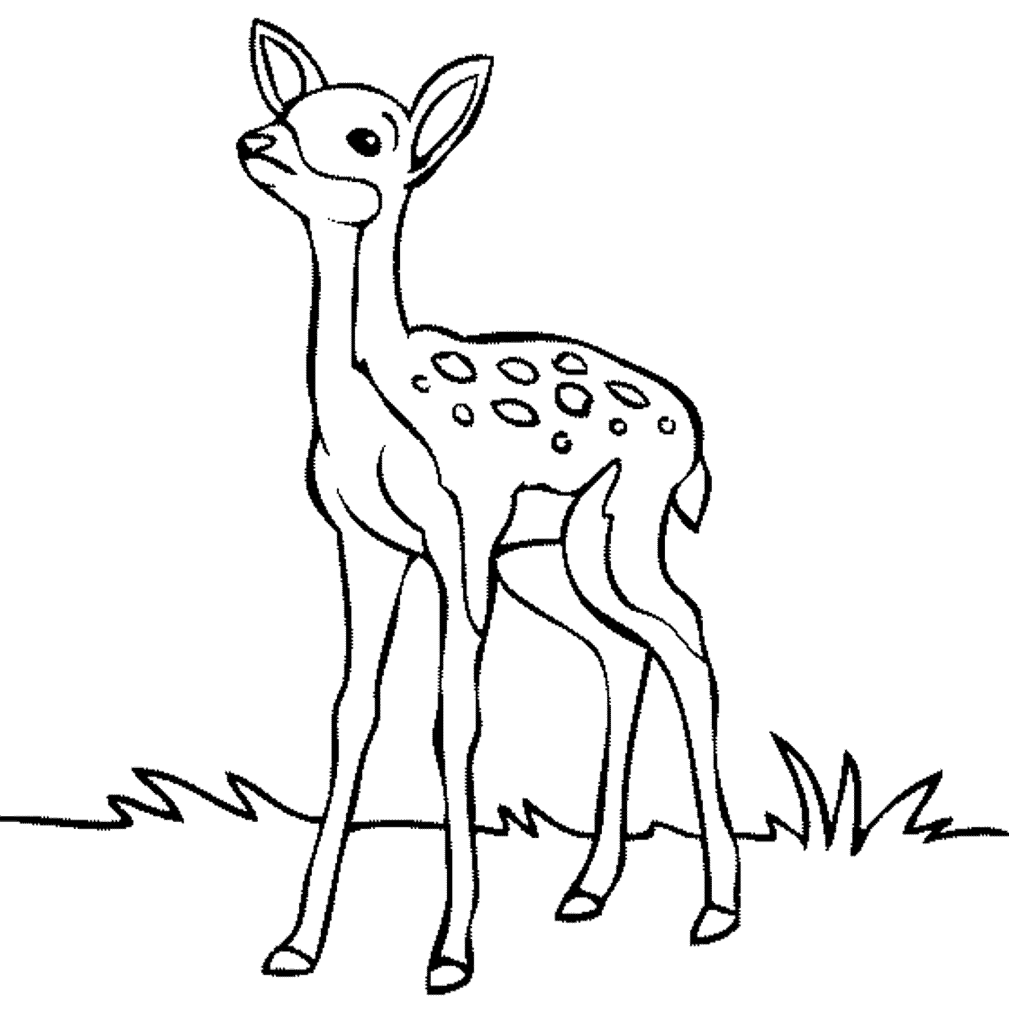 Baby black and white. Deer clipart coloring page