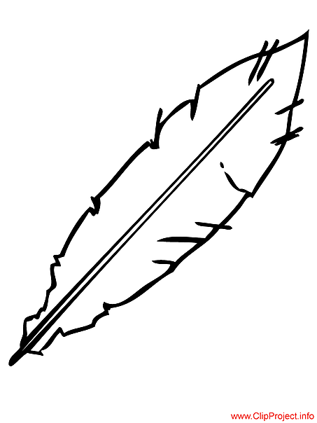 feathers clipart colouring page