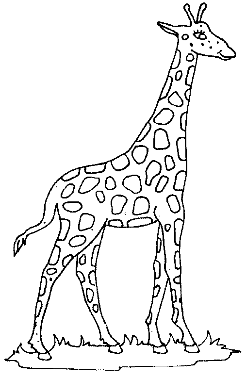 giraffe clipart line art
