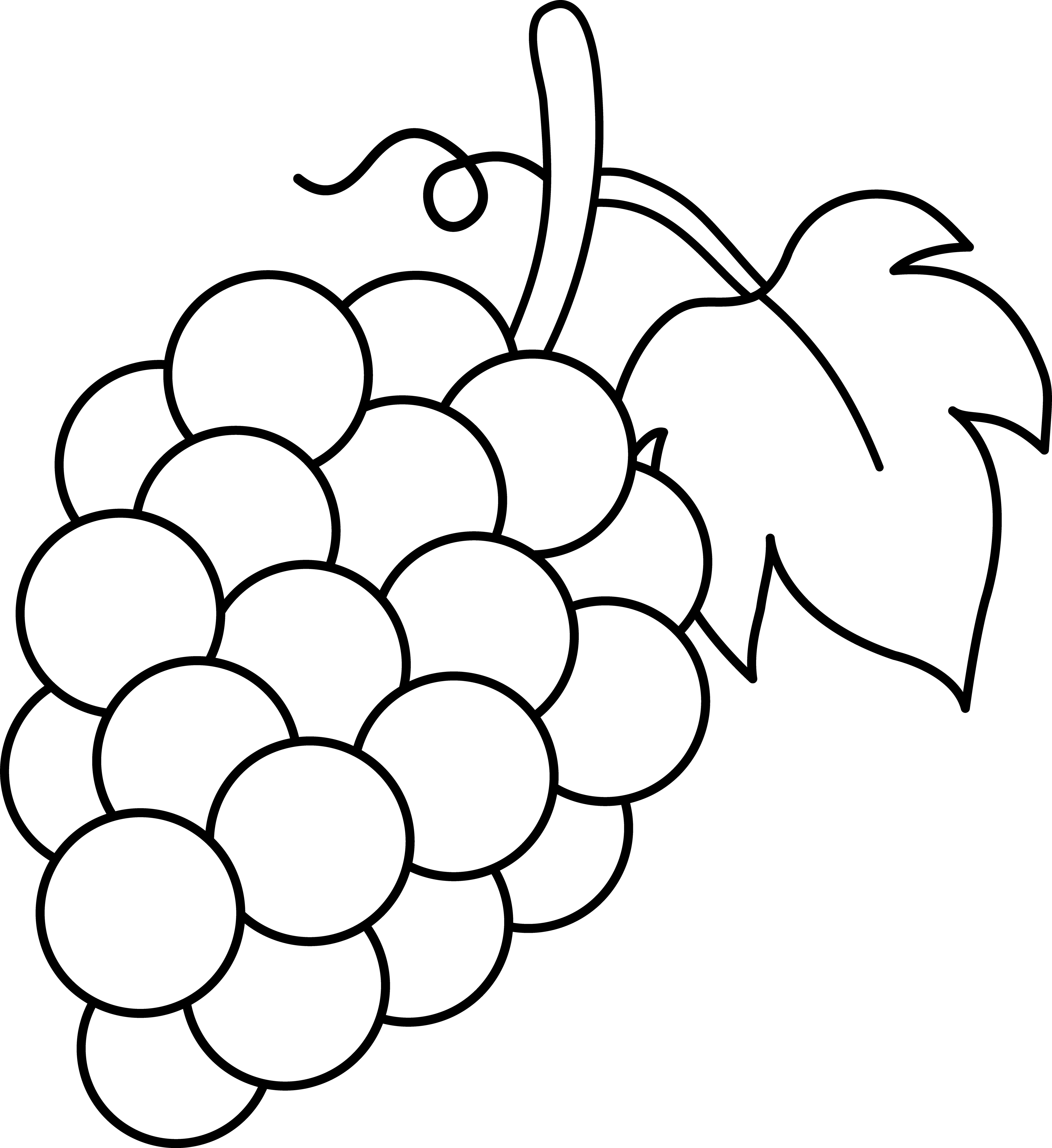 grapes clipart easy draw