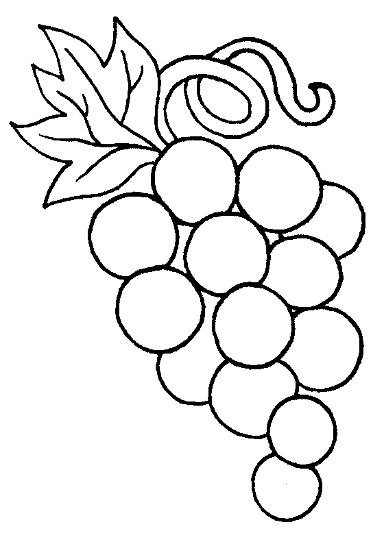 grapes clipart outline