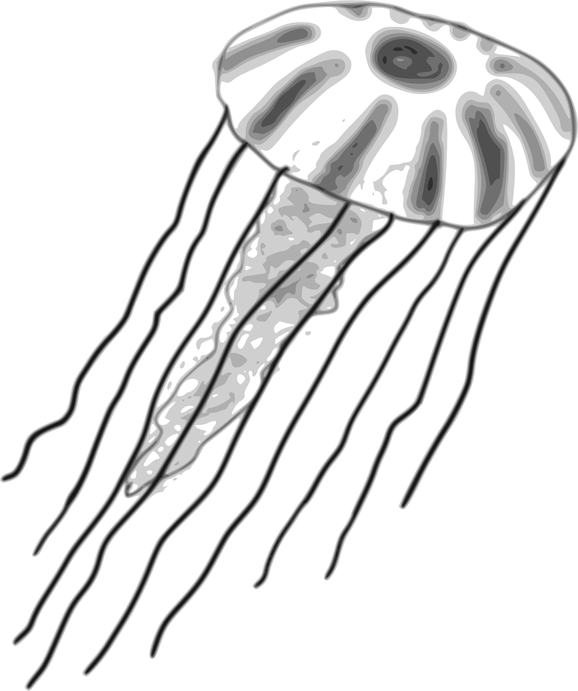 coloring clipart jellyfish