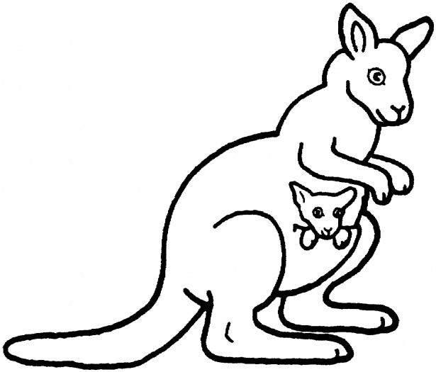 kangaroo clipart color