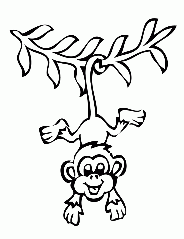 coloring clipart monkey