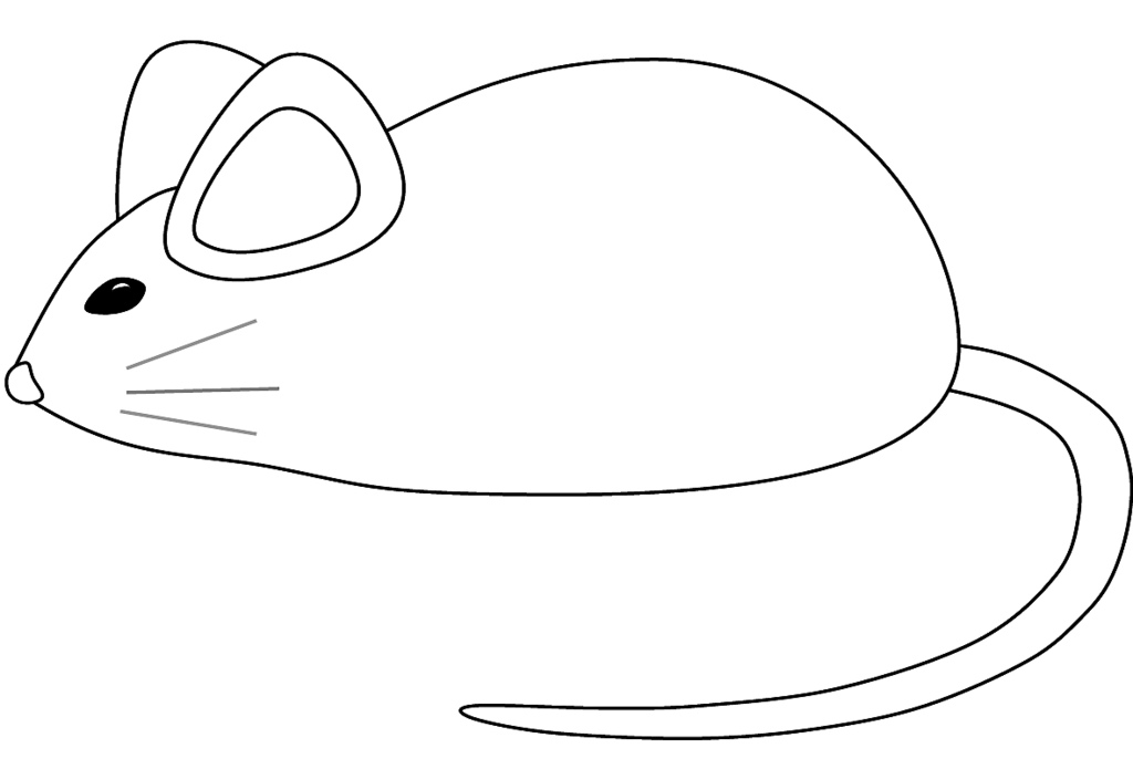 Free pictures of mouse. Mice clipart colour