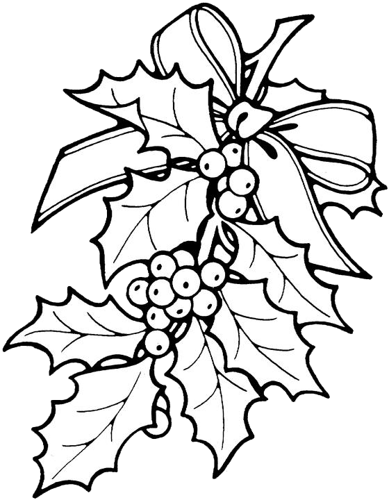 poinsettias clipart holly bough