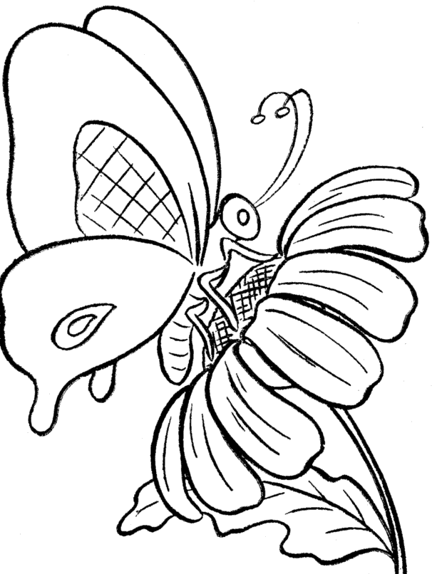 lungs clipart coloring page