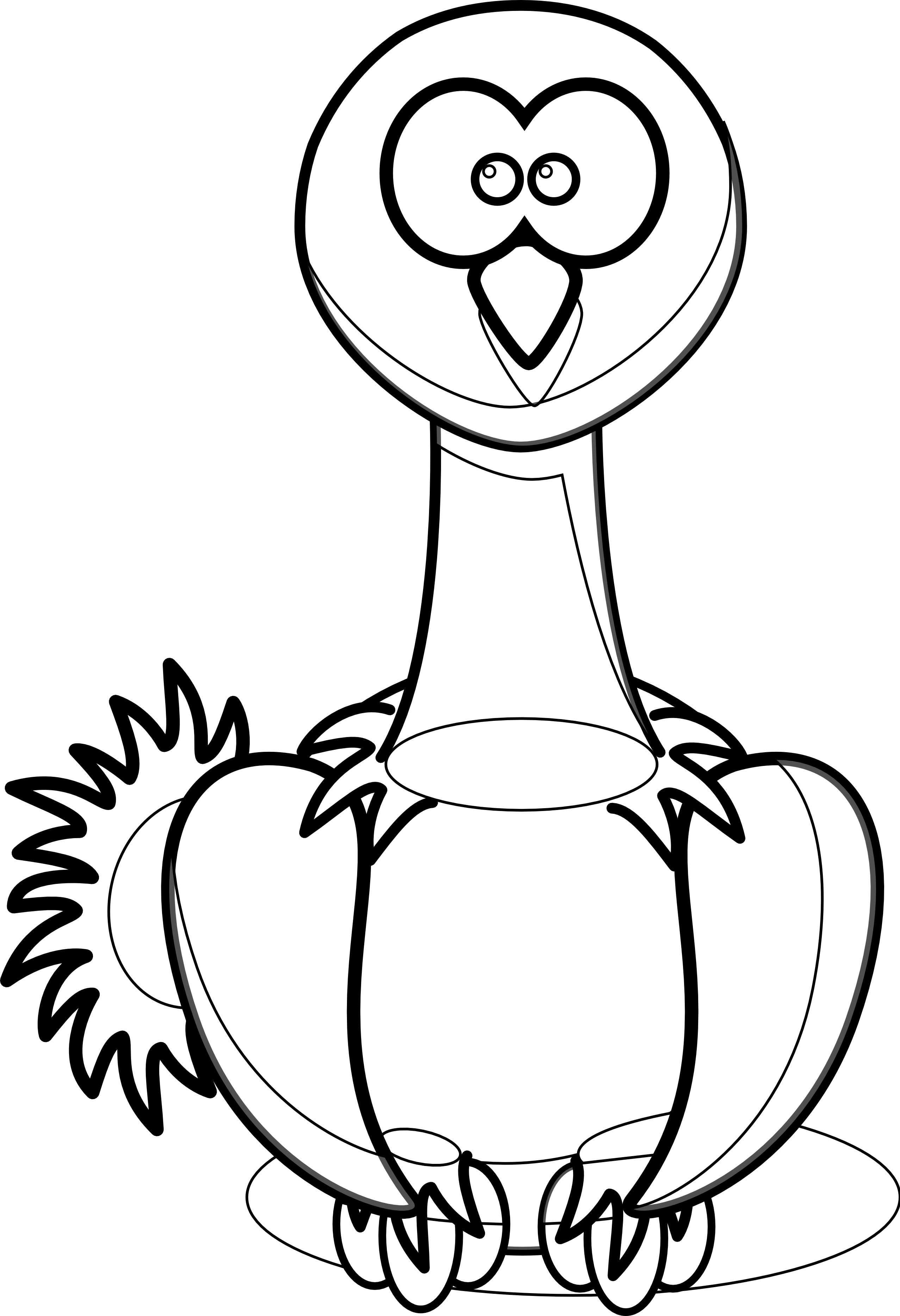 Ostrich coloring panda free. Kangaroo clipart colouring page