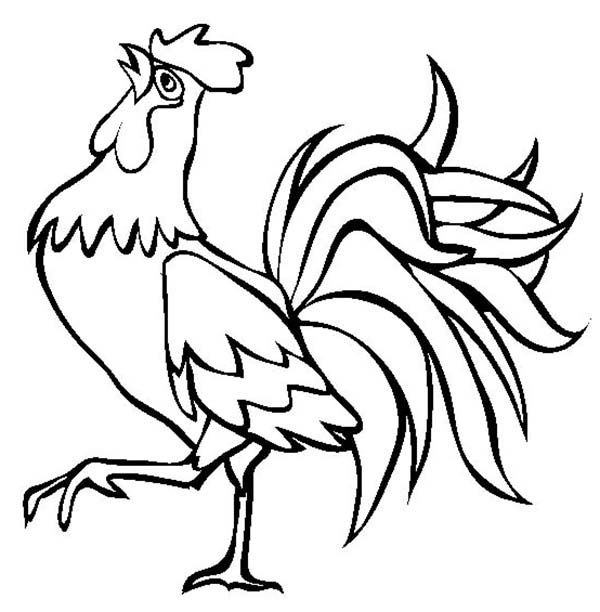 Free page . Coloring clipart rooster
