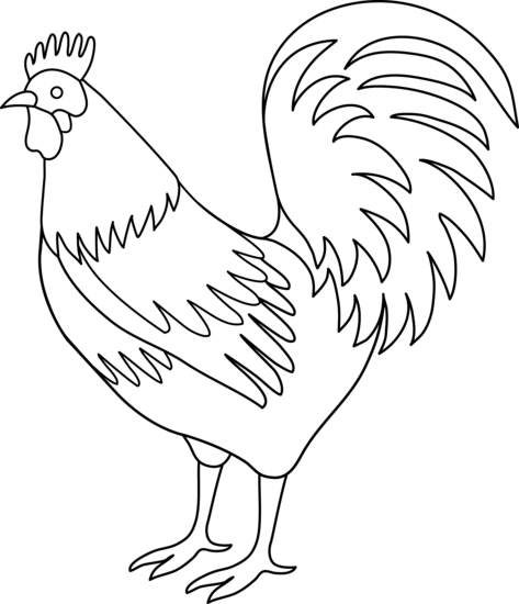 Page free clip art. Coloring clipart rooster